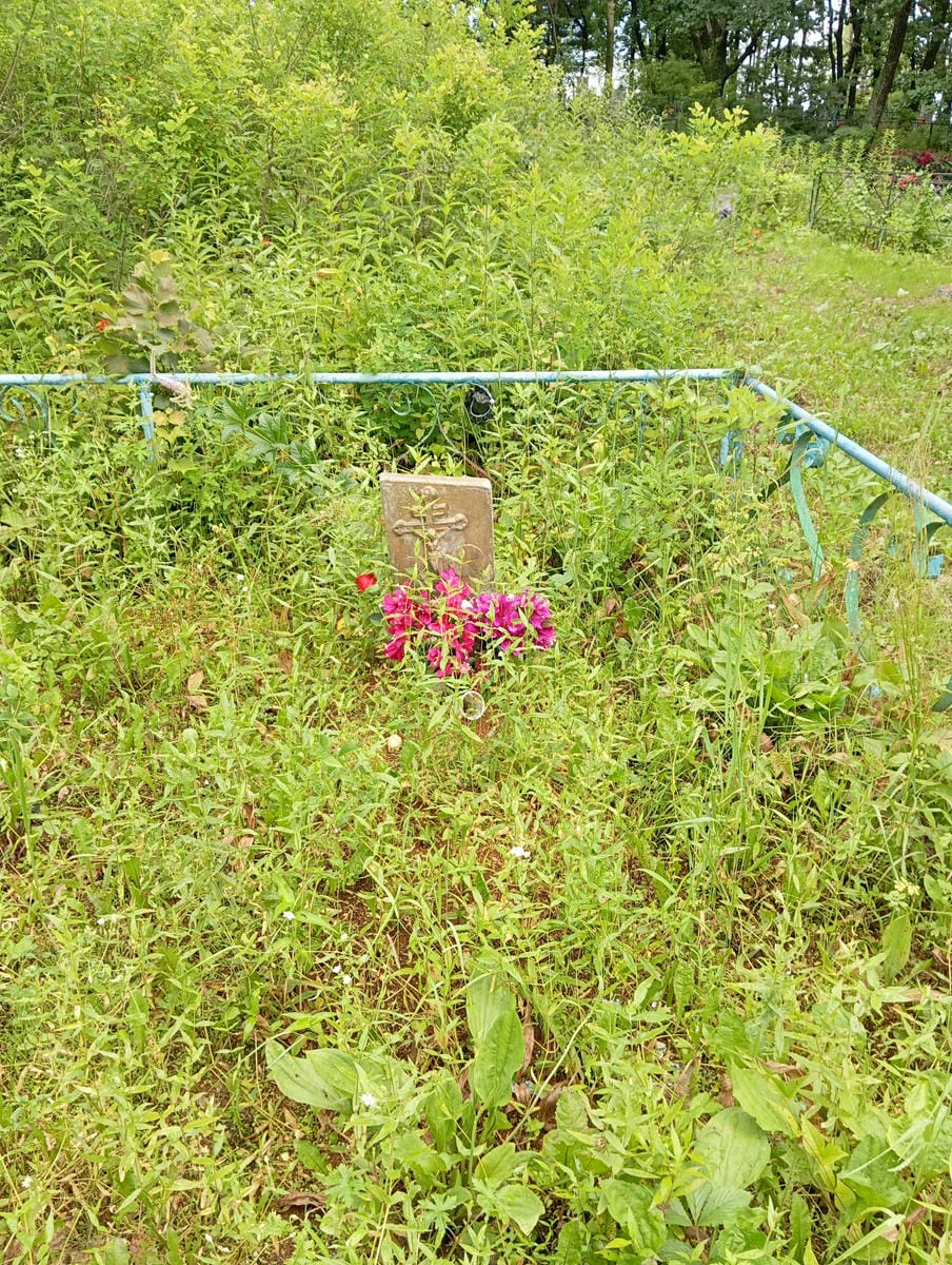 9913384c-a9f0-4d4a-ab34-02c4e693329a Чернец Сашенька Неизвестно