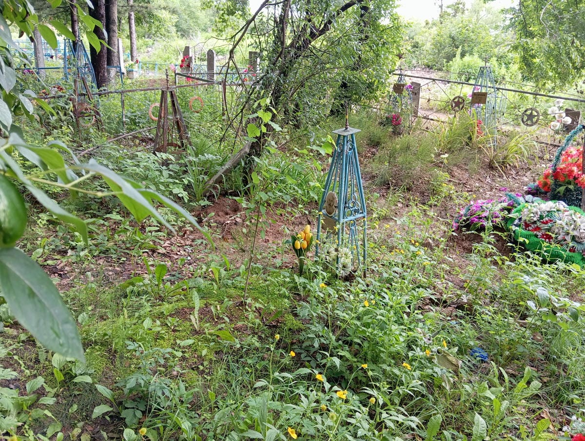 99527fdb-7fcc-4f95-96f5-406ffca49232 Ткаченко Семен Захарович