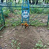 Ермольчук Галина Федосеевна