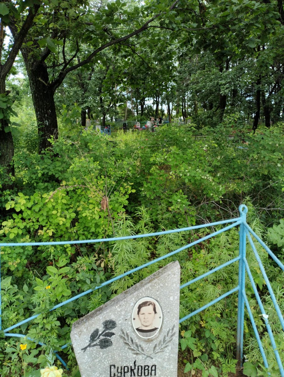 99c18639-c4dc-4d5b-8283-a030df3e502a Суркова Валентина Дмитриевна