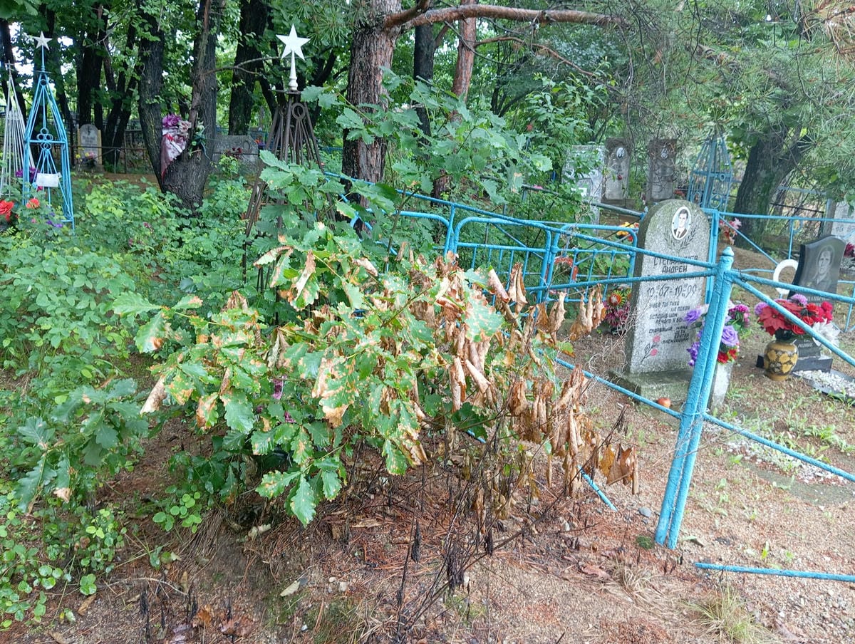9aa12288-ee95-4754-baf6-fd0a0fa606a1 Неизвестно Неизвестно Неизвестно