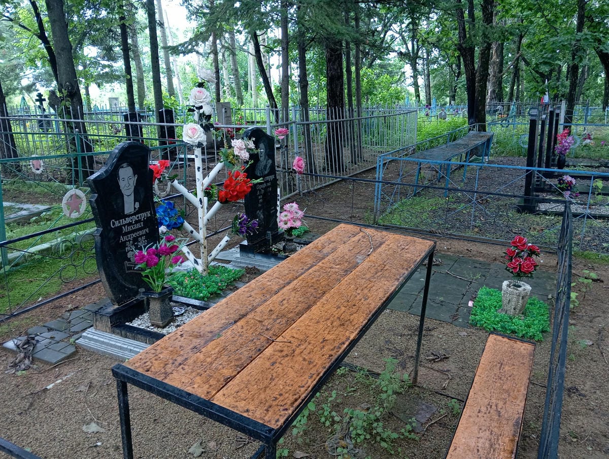 9aea9aa9-2175-4d04-a2a4-210a0949fa1f Сильверструк Михаил Андреевич