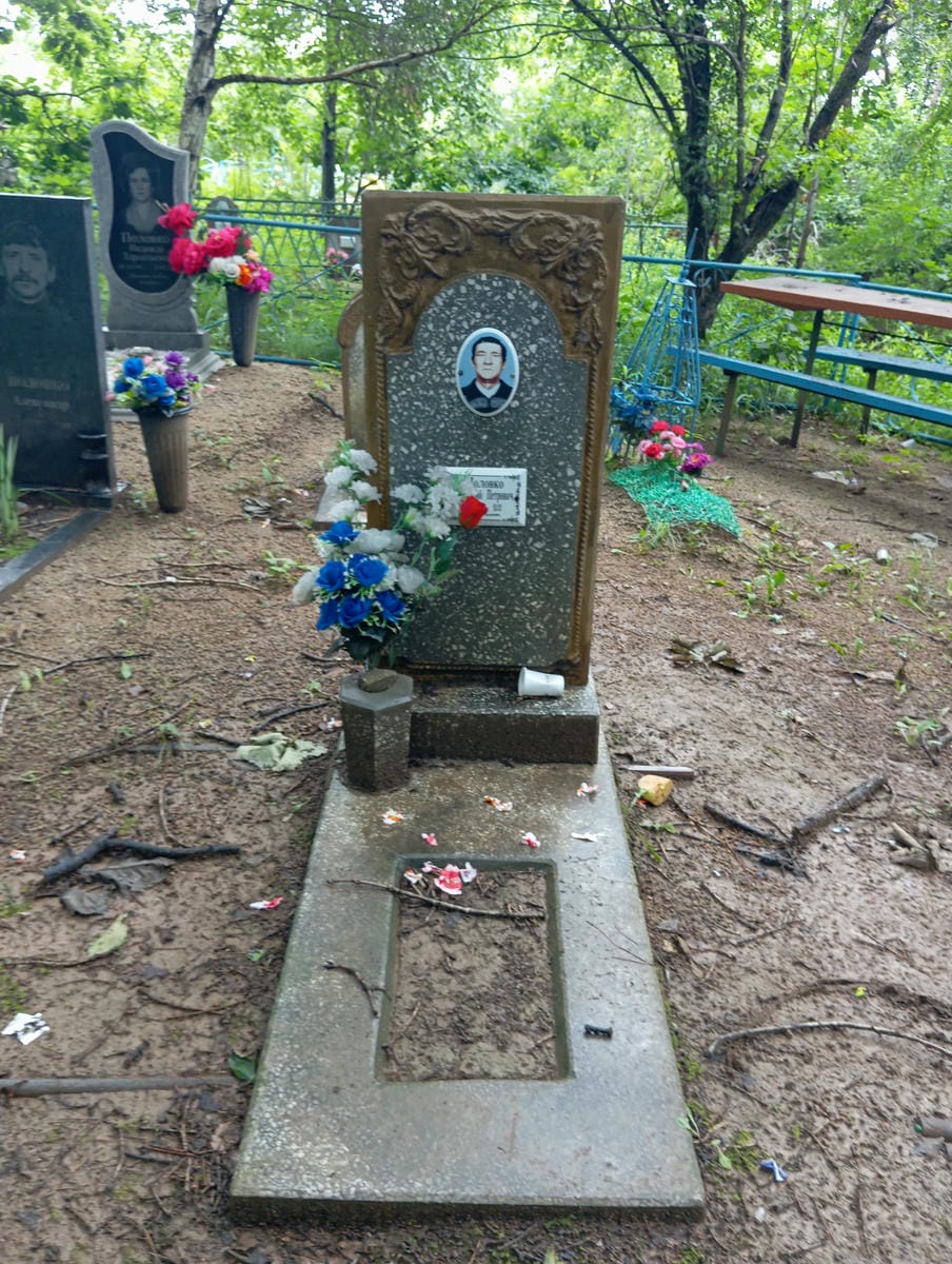 Половко Анатолий Петрович