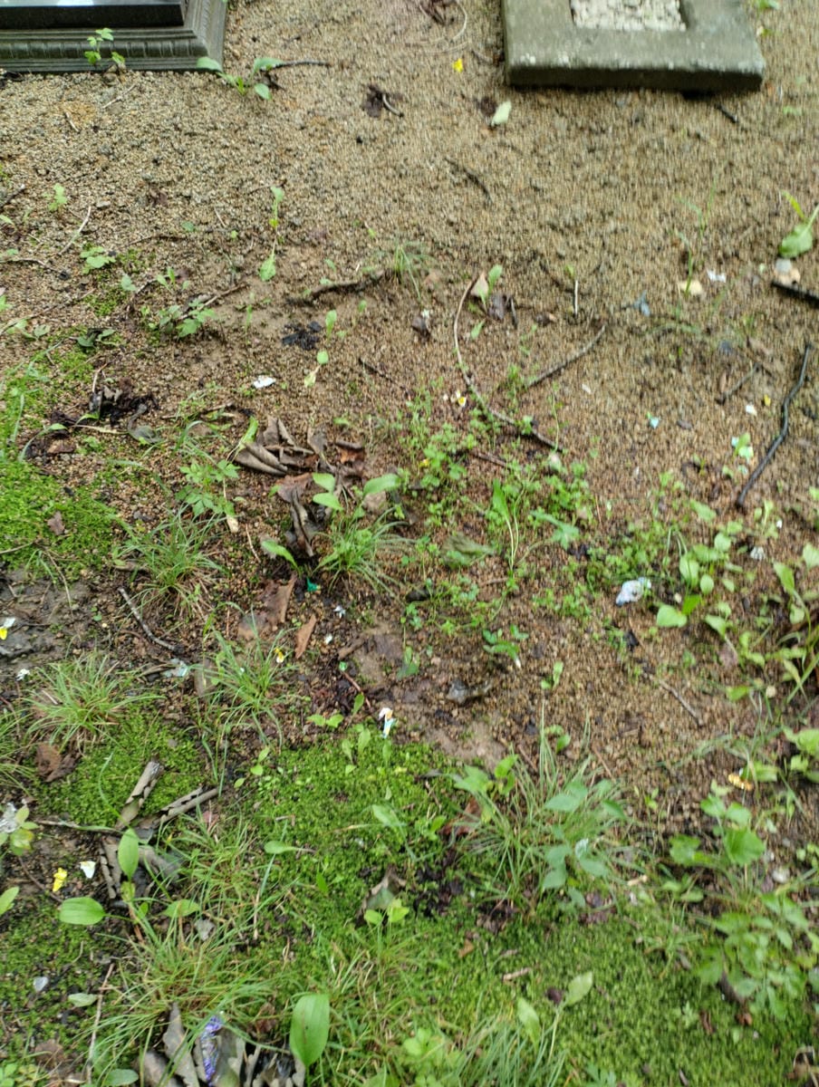 9de46b3f-3557-43d8-8c2a-55037788fe14 Неизвестно Неизвестно Неизвестно