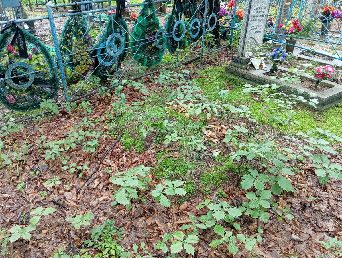 Неизвестно Неизвестно Неизвестно