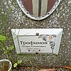 Трофимов Игорь Романович