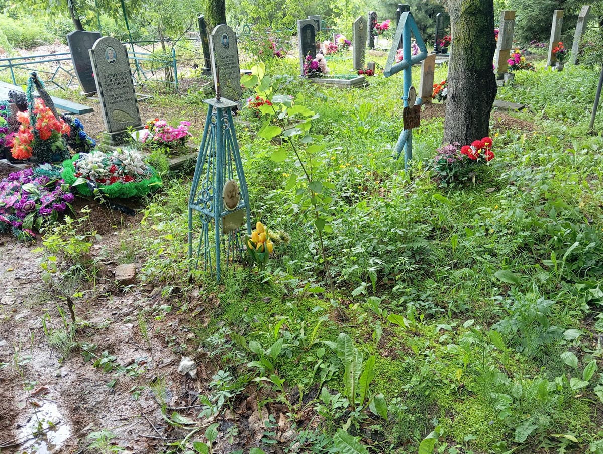 a15fd82c-1e55-405c-8f83-ee8f1394d196 Ткаченко Семен Захарович