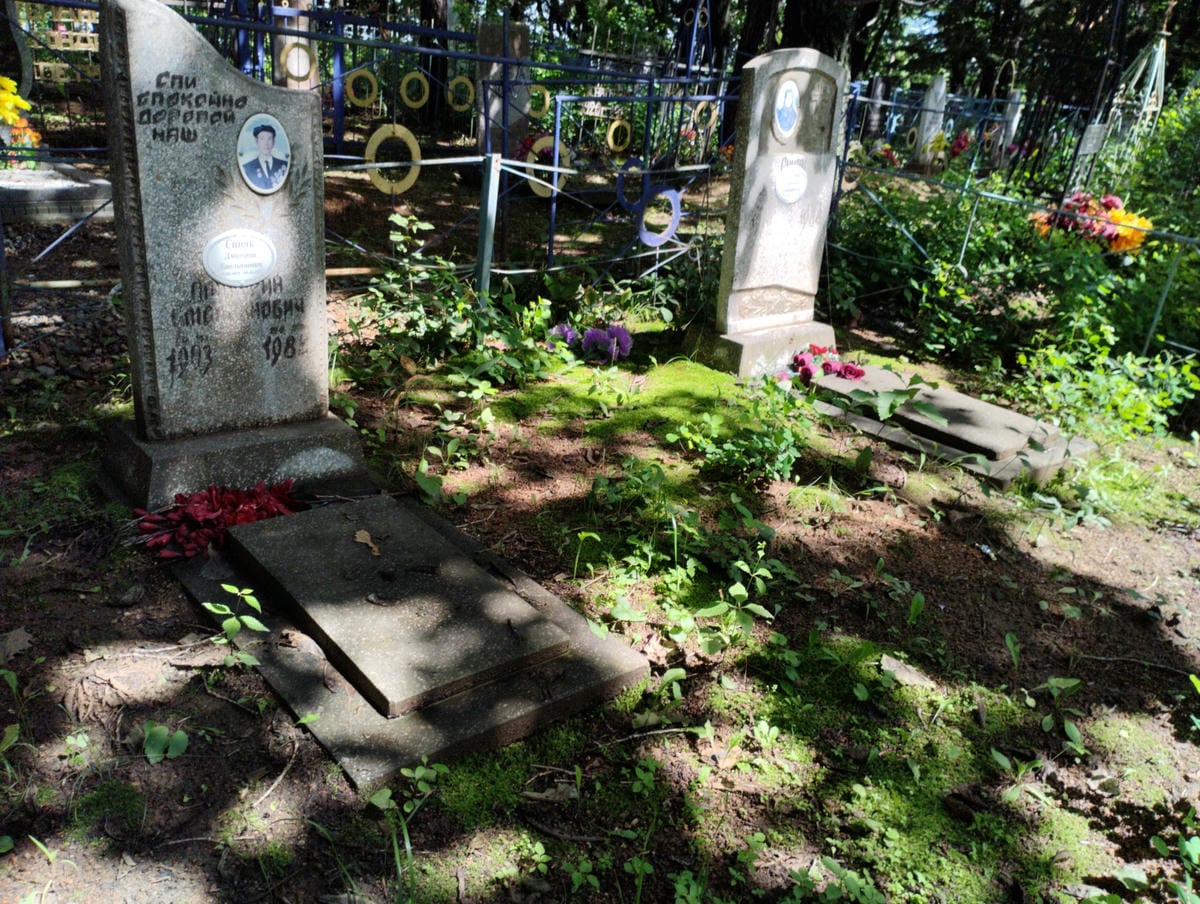 a290eb4c-cb1d-4f9c-b0fd-2562c9d67e7f Синяк Дмитрий Емельянович