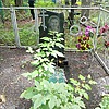 Хвостик Елизавета Степановна
