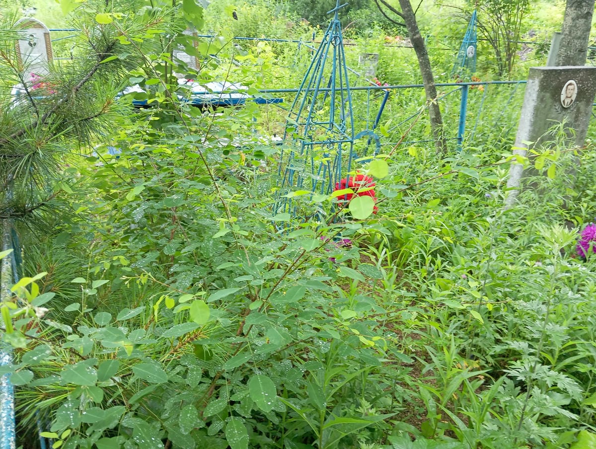 a3639dd7-7bf6-4d53-bf35-5be0c5941fce Неизвестно Неизвестно Неизвестно