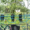 Волкова Евдокия Ивановна