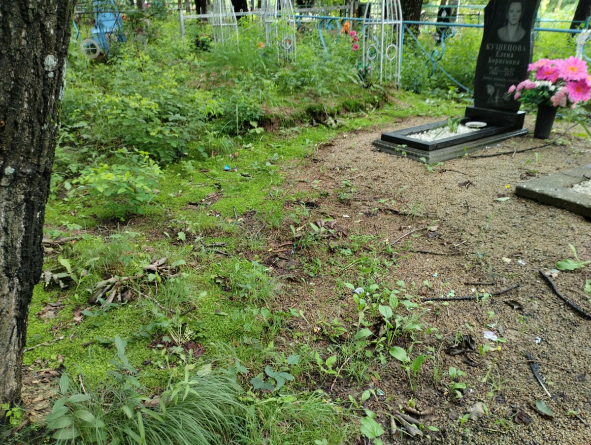 a4b6d11a-42a4-4875-8a09-3fc56179ed4a Неизвестно Неизвестно Неизвестно