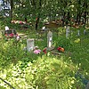 Писаревских Александра Ивановна