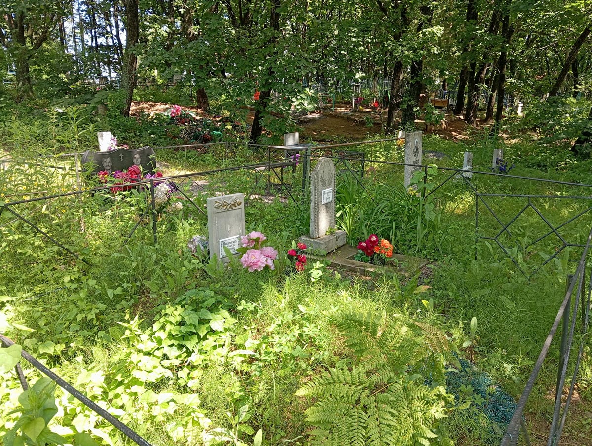 a543dfb4-2c0b-42f6-887b-6319e889776f Писаревских Александра Ивановна