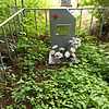 Константинова Леночка Неизвестно