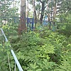Неизвестно Неизвестно Неизвестно
