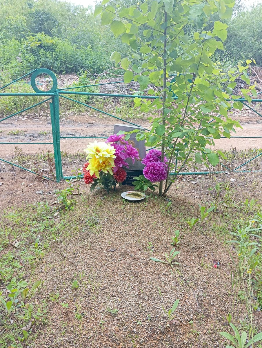 aa49a138-7a42-46ef-a1e8-1c70128db00a Сединко Анатолий Михайлович