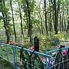 Мошева Анна Алексеевна