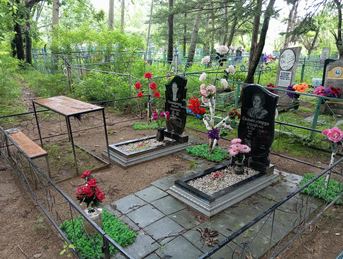 ab52b810-82ad-452f-abf6-3d69a30f60ad Сильверструк Серафима Андреевна