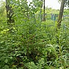 Попова Агрепина Михайловна