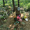 Карасёва Валентина Николаевна