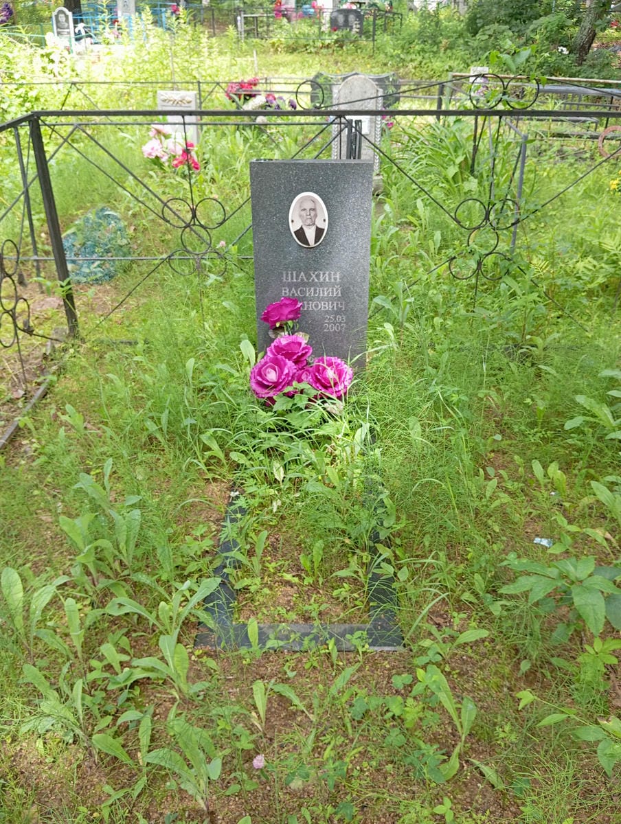 ae1526c7-b7f7-4b49-b4ca-a922392cbd75 Шахин Василий Иванович