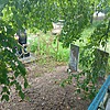 Бойко Галина Николаевна