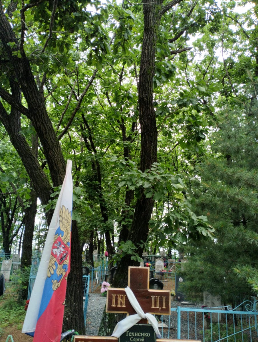 af67fe79-5b46-4854-ab48-59ae7ee6fbfa Техненко Сергей Николаевич