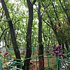 Ермальчук Федосей Иванович