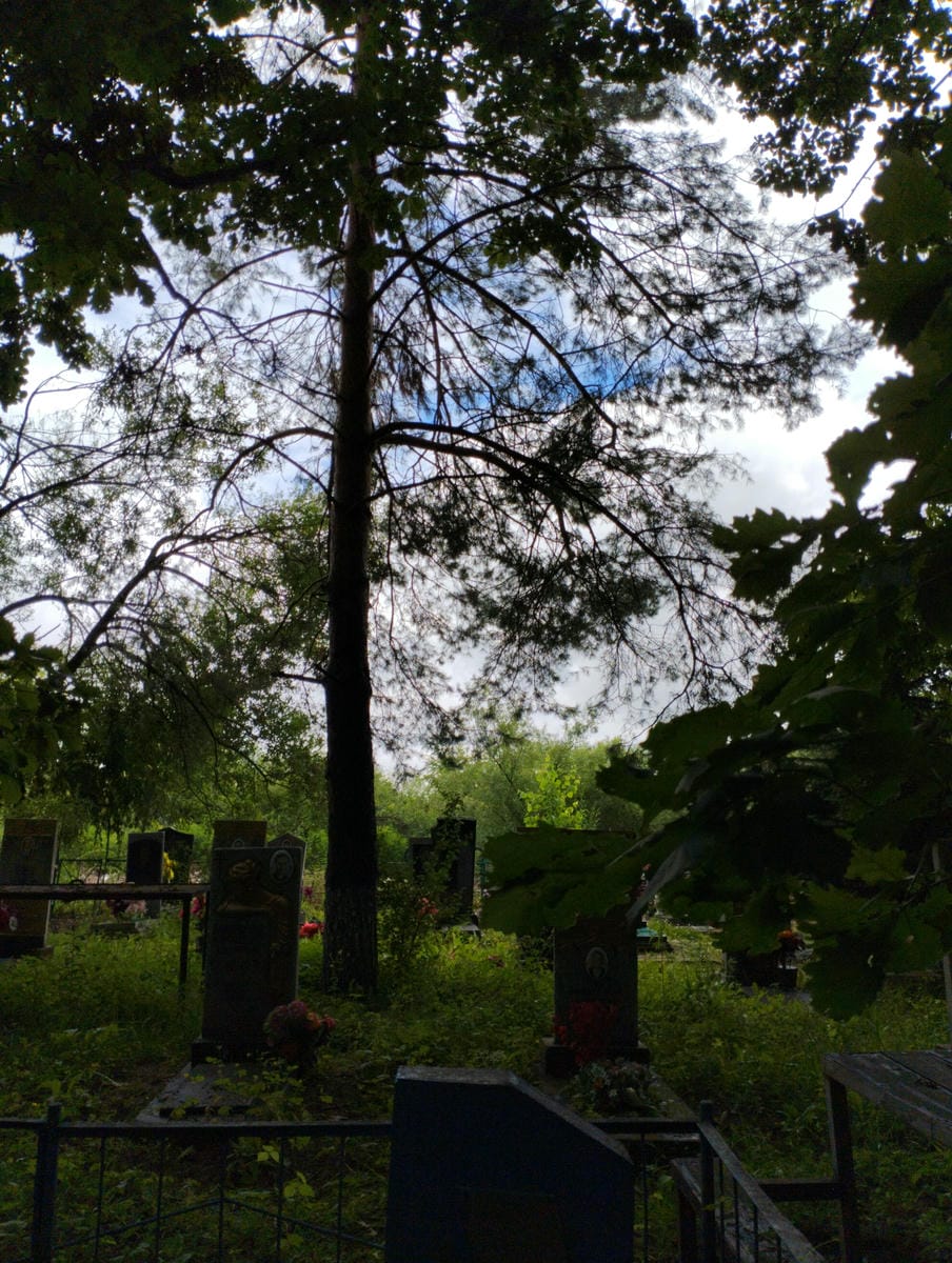 Семилетко Неизвестно Неизвестно