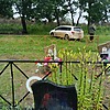 Петровчук Ванечка Неизвестно