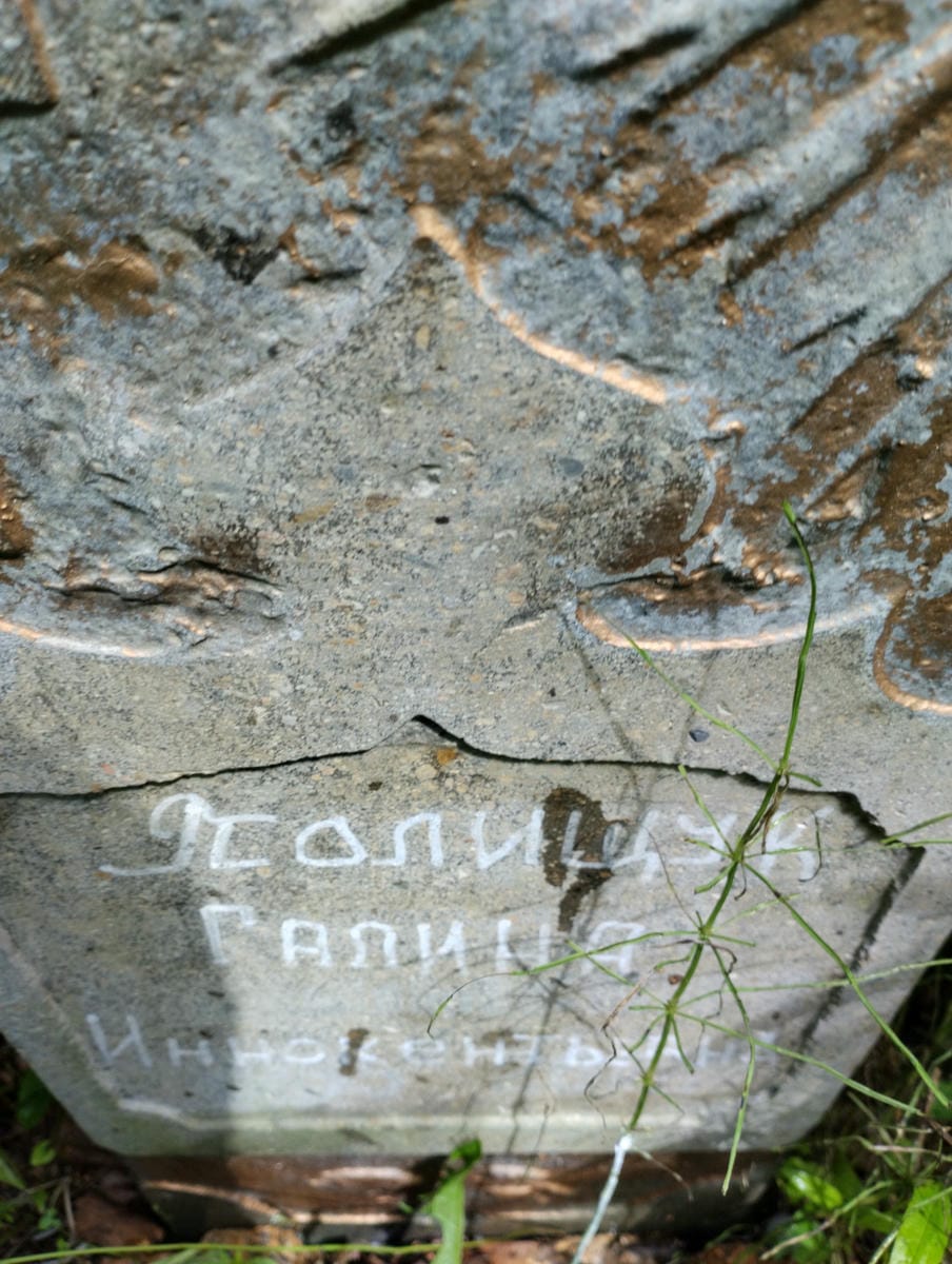 b086055d-2edf-4a83-9571-b568b2b2da5b Полищук Галина Иннокентьевна