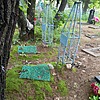 Шейко Мария Николаевна