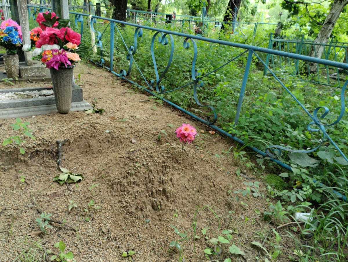 b1f9163a-ffdb-485d-a362-317acc0738f2 Неизвестно Неизвестно Неизвестно