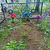 Шапиро Александр Григорьевич