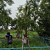 Щедривая Анна Кузьминична
