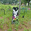 Корнеев Захар Неизвестно
