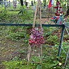 Неизвестно Неизвестно Неизвестно