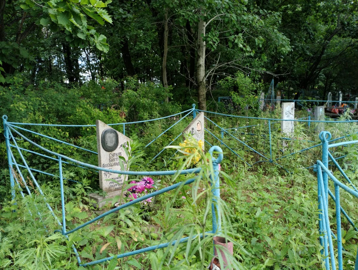 b5ec71de-9ff7-4c01-8381-a46cafde0059 Суркова Валентина Дмитриевна