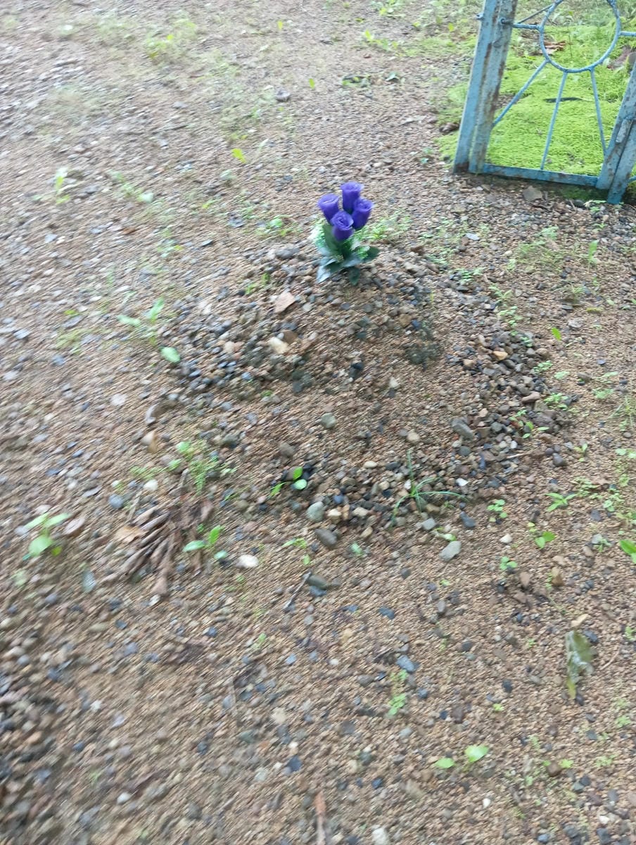 Неизвестно Неизвестно Неизвестно