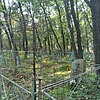 Свистельник Василий Сергеевич