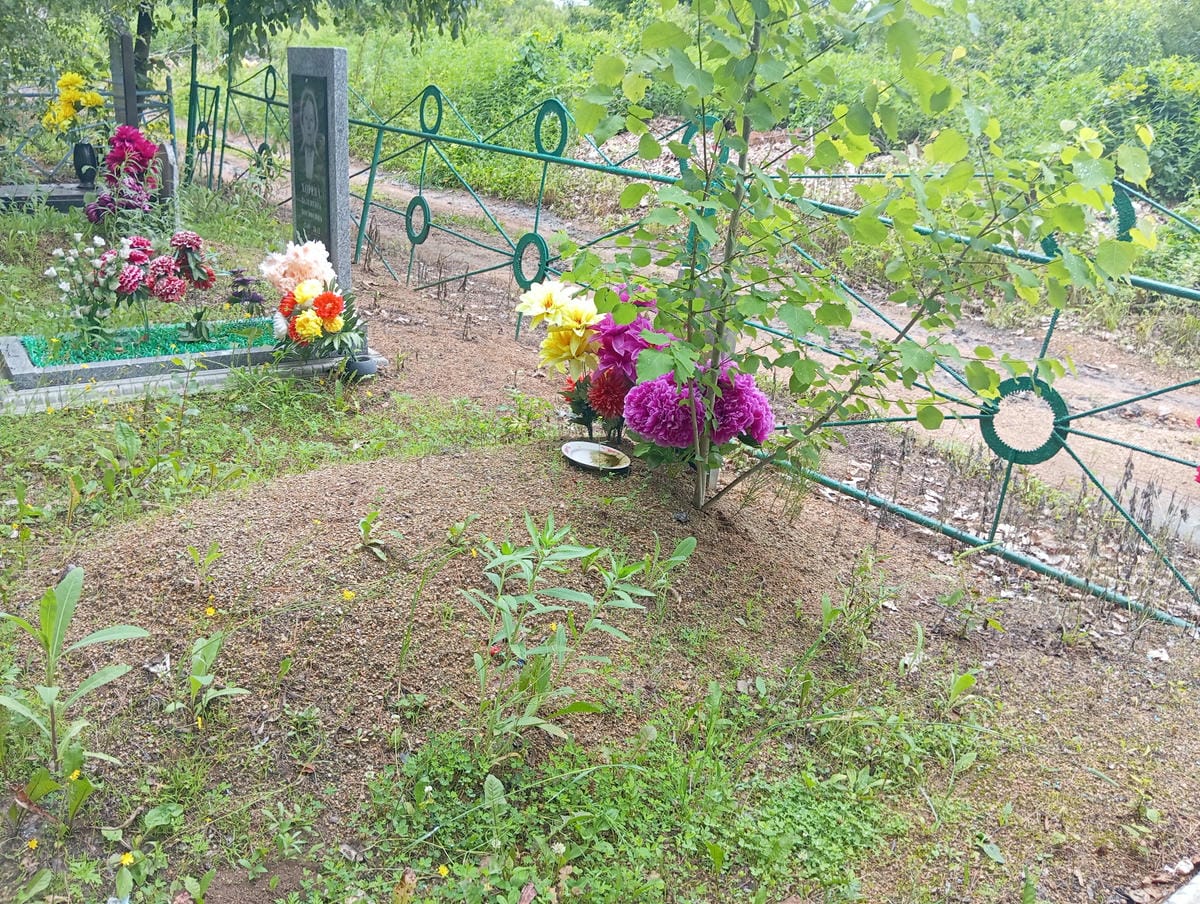 b9411abc-39de-49ab-bbd5-b50aa3fef7b7 Сединко Анатолий Михайлович