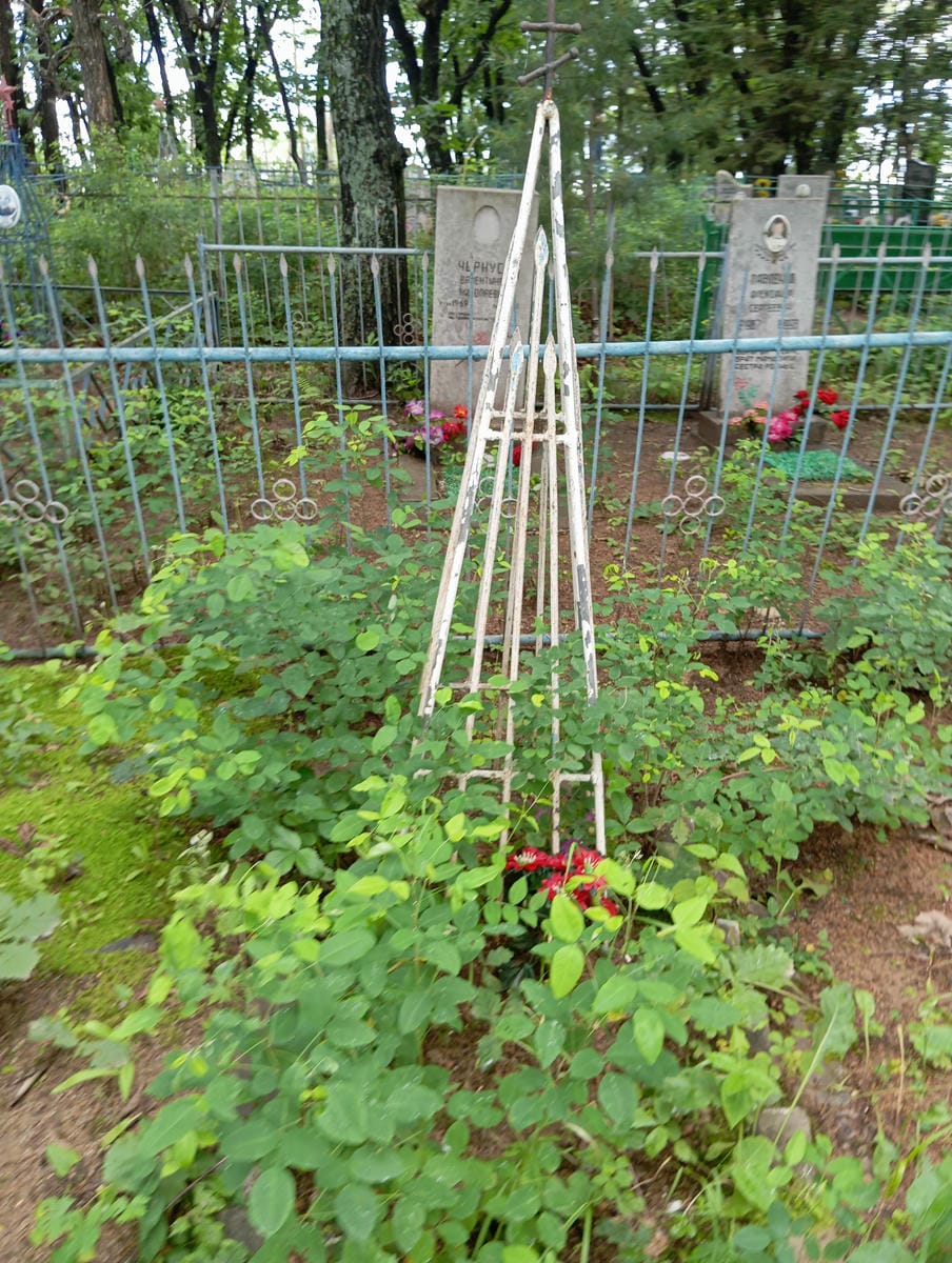 bad619d0-fa54-4ebf-8c29-8376f9876140 Неизвестно Неизвестно Неизвестно