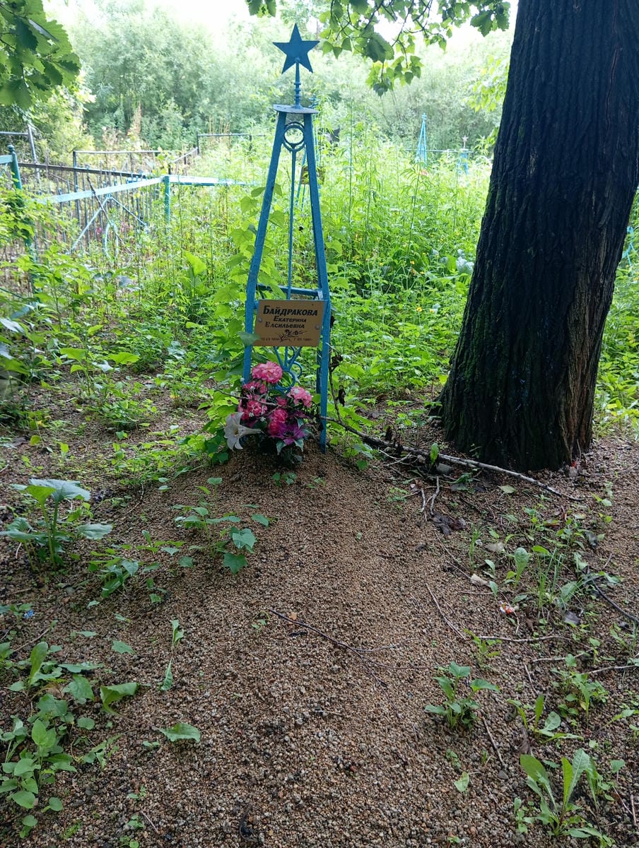 bc464317-ece8-44fe-8aeb-b95f83988811 Байдракова Екатерина Васильевна