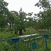 Гудкова Светлана Владимировна