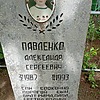 Павленко Александр Сергеевич