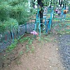 Неизвестно Неизвестно Неизвестно
