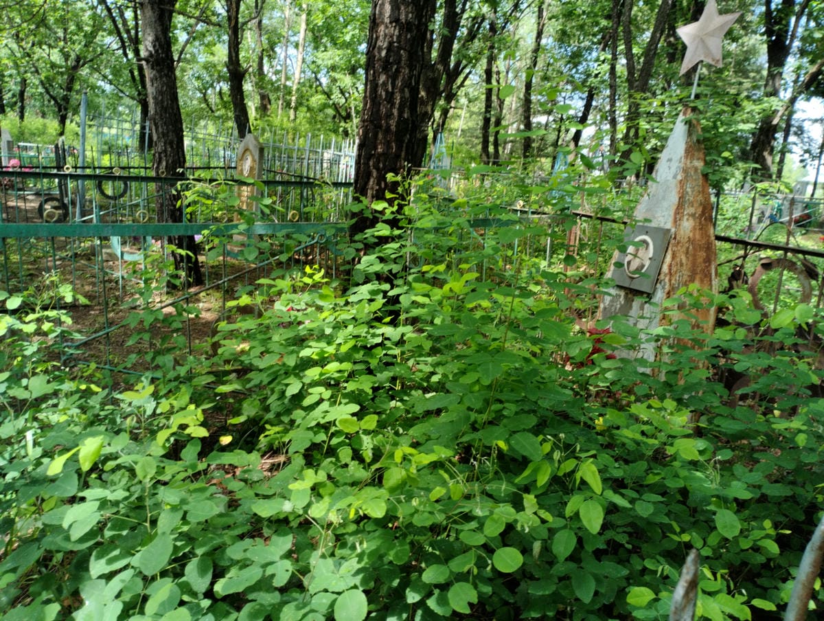 c2257b89-3495-4575-b2c0-f5af059fc2ae Неизвестно Неизвестно Неизвестно