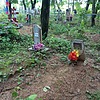 Кравченко Любовь Владимировна