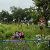 Каширина Любовь Лукинична